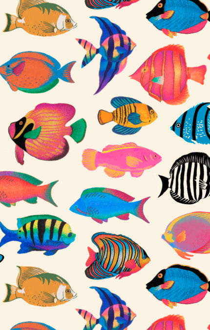 Lil Easy Shorts ~ Rainbow Reef