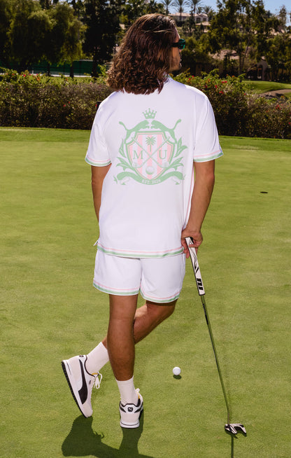 Palmer Button Down ~ Ace of Clubs Stripe