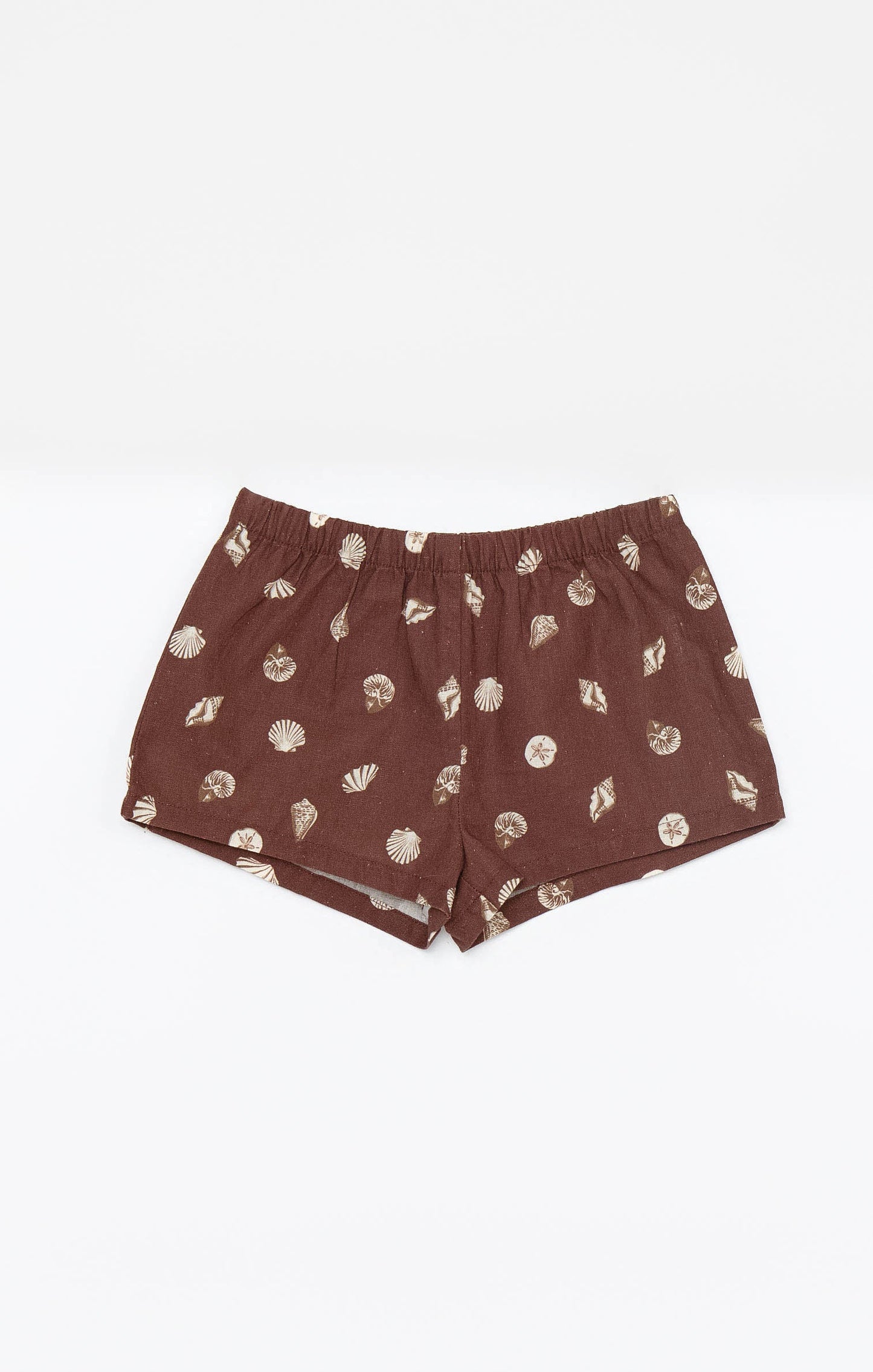 Little Shells Set ~ Cocoa Coast