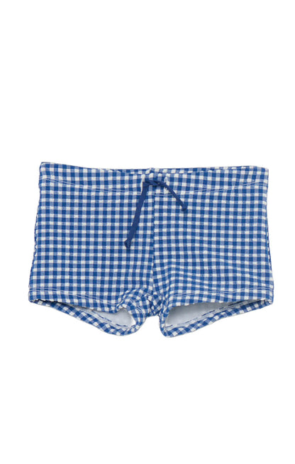 Lil Dude Shorts ~ Blueberry Gingham
