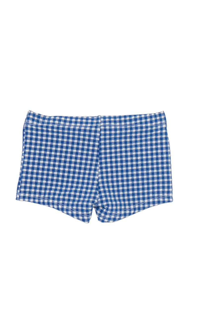 Lil Dude Shorts ~ Blueberry Gingham