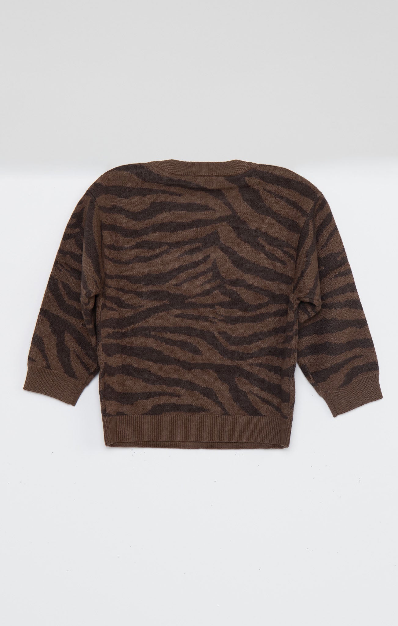 Little Seasons Sweater ~ Wild Tiger Graphic Knit