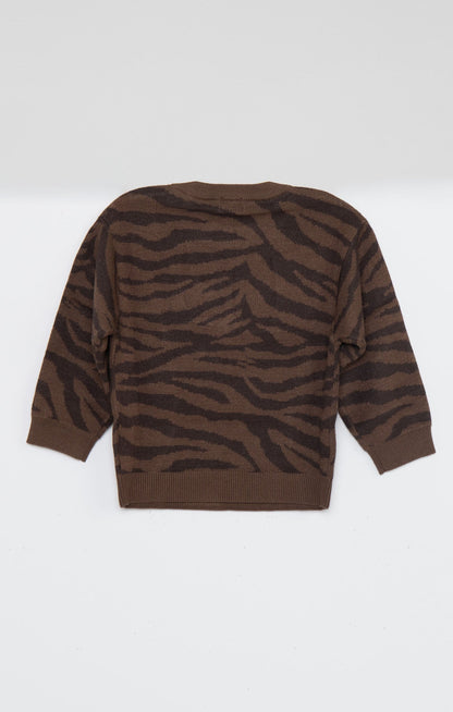 Little Seasons Sweater ~ Wild Tiger Graphic Knit