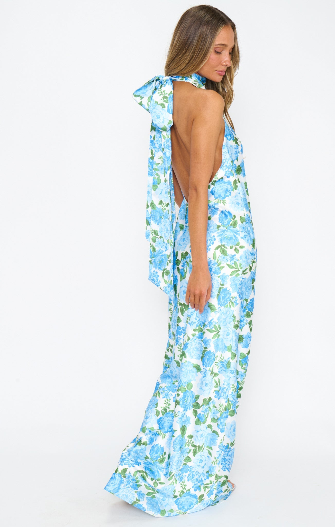 Lisa Maxi Dress ~ Cottage Floral Blue