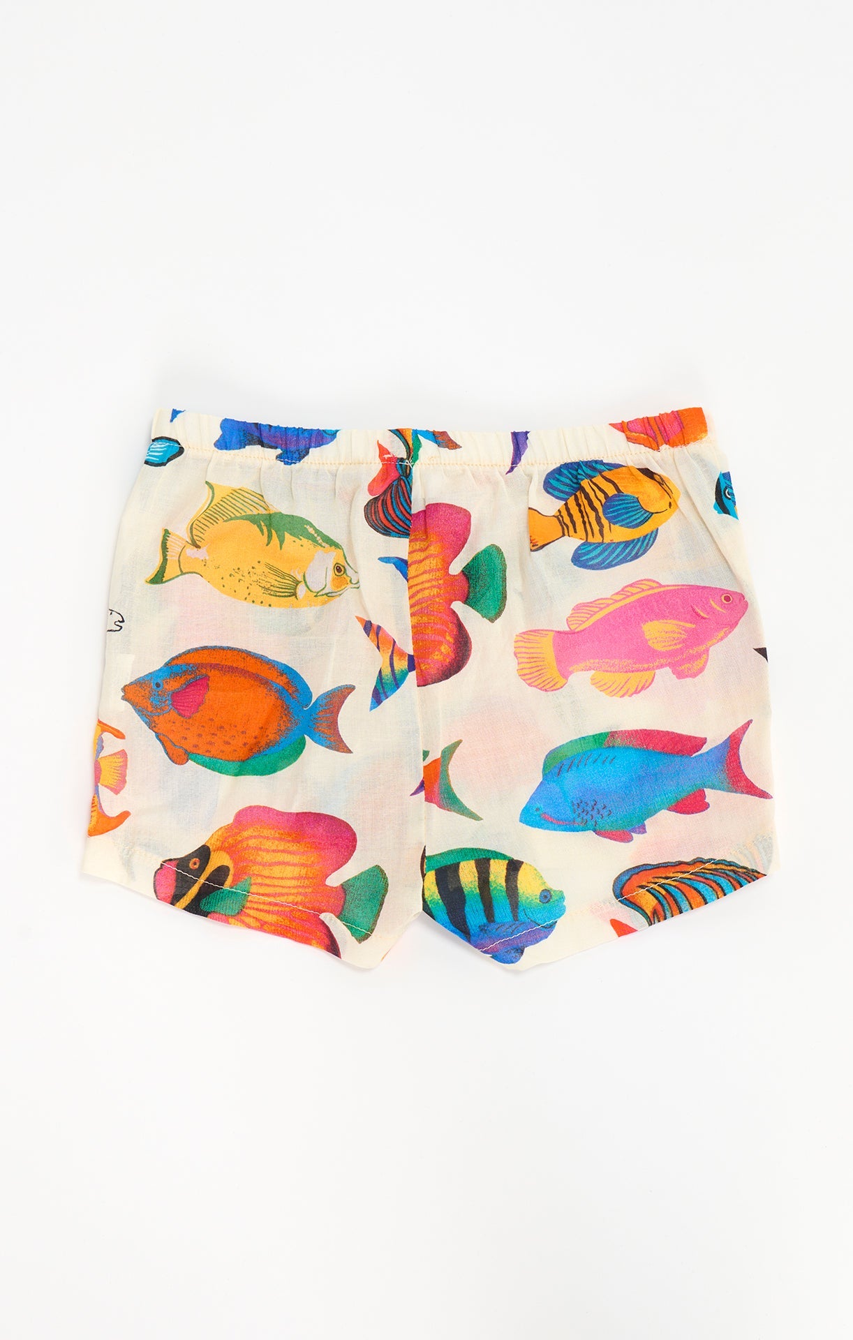Lil Easy Shorts ~ Rainbow Reef