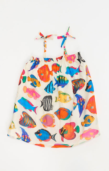 Little Angel Mini ~ Rainbow Reef