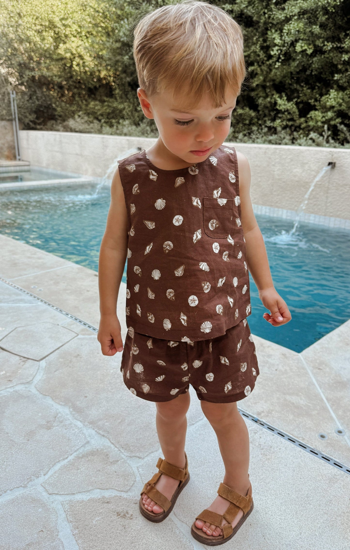 Little Shells Set ~ Cocoa Coast