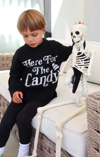 Lil Classic Crewneck Sweater ~ Candy Graphic Knit