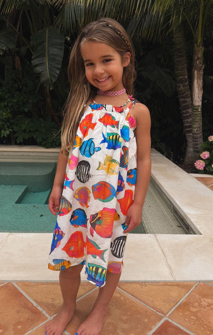 Little Angel Mini ~ Rainbow Reef